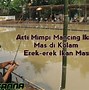 Arti Mimpi Dapat Ikan Mas Warna Hitam